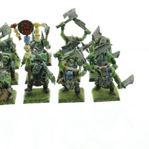 Orc Warriors Regiment