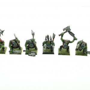 Orc Warriors Regiment