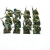 Orc Warriors Regiment