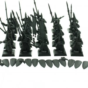 High Elf Warriors Regiment