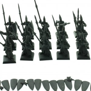 High Elf Warriors Regiment