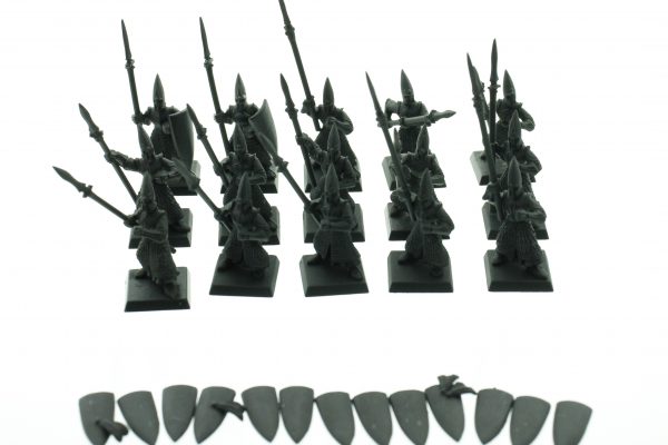 High Elf Warriors Regiment