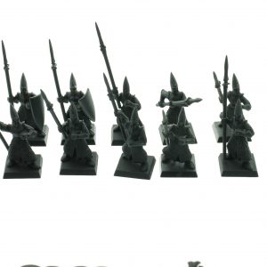 High Elf Warriors Regiment