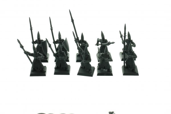 High Elf Warriors Regiment