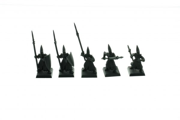 High Elf Warriors Regiment