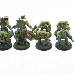 Wolf Guard Terminators