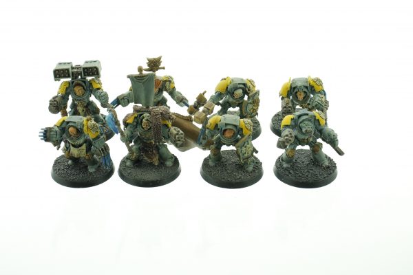 Wolf Guard Terminators