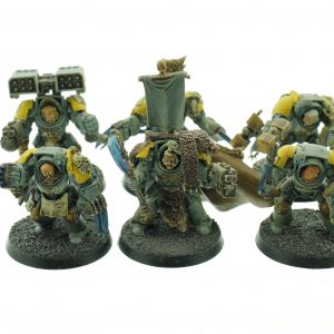 Wolf Guard Terminators