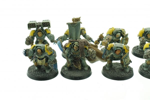 Wolf Guard Terminators