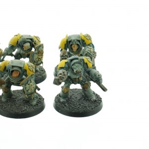 Wolf Guard Terminators