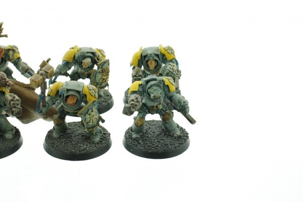 Wolf Guard Terminators