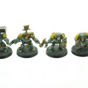 Wolf Guard Terminators