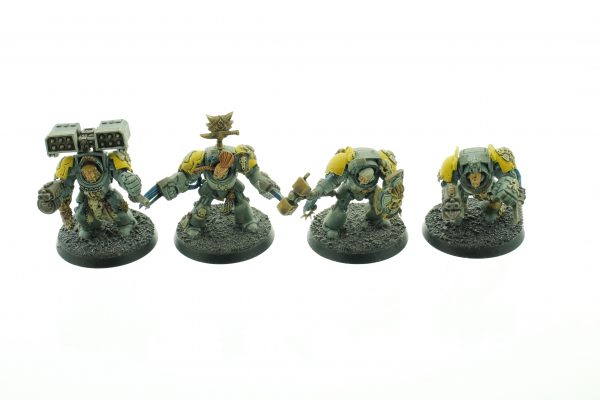 Wolf Guard Terminators