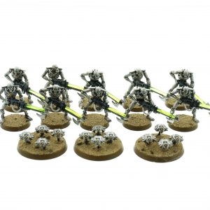 Necron Warriors