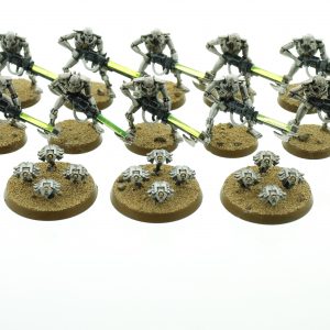 Necron Warriors