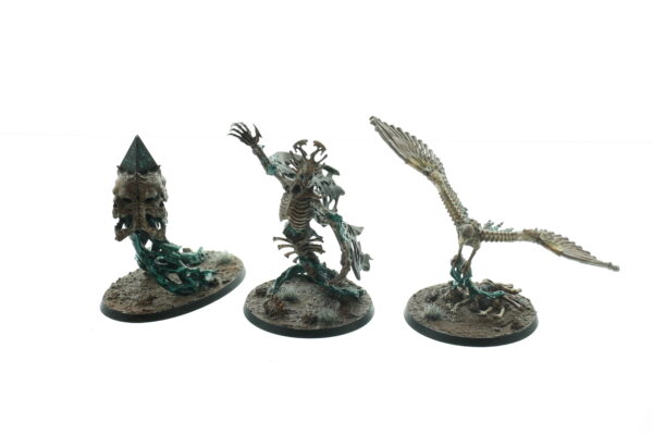 Endless Spells: Ossiarch Bonereapers