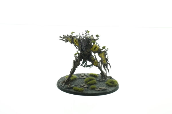 Drycha Hamadreth