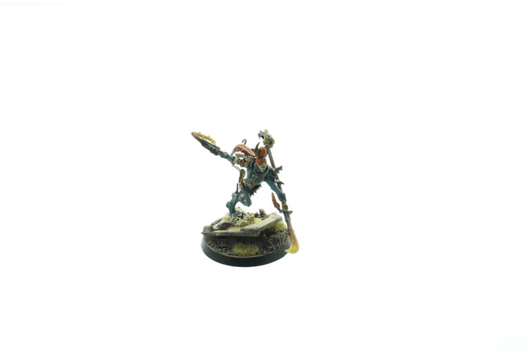 Warhammer Drukhari Succubus Whtreasury