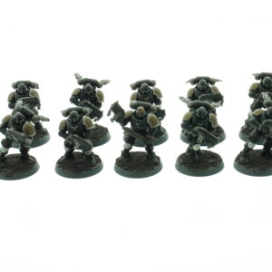 Primaris Intercessors