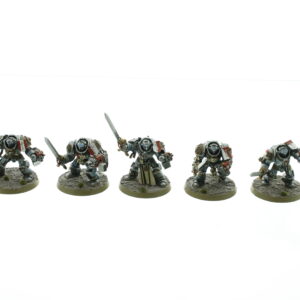 Grey Knight Terminators