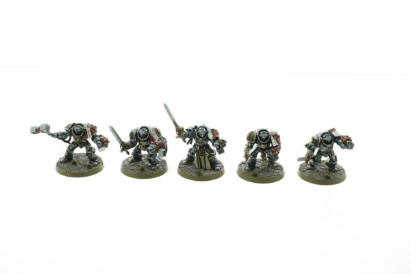 Grey Knight Terminators