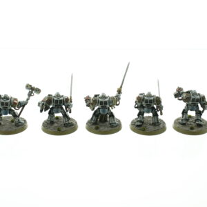 Grey Knight Terminators