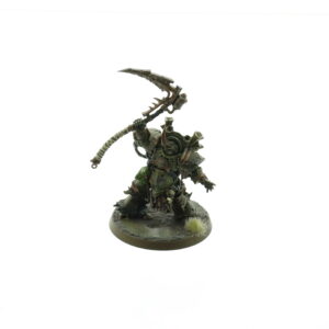 Typhus