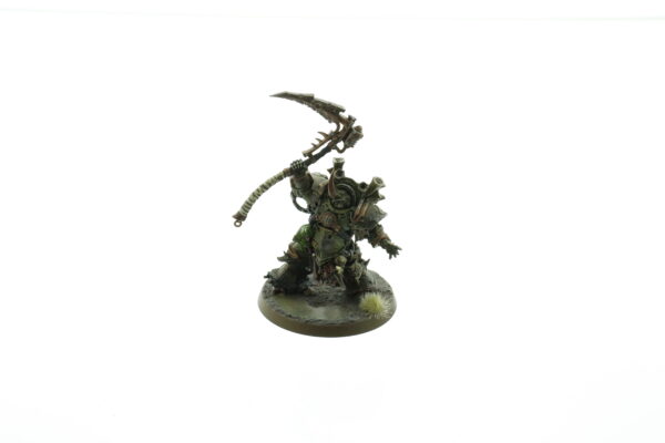 Typhus