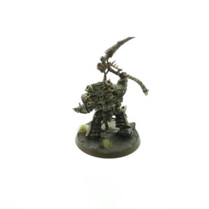 Typhus