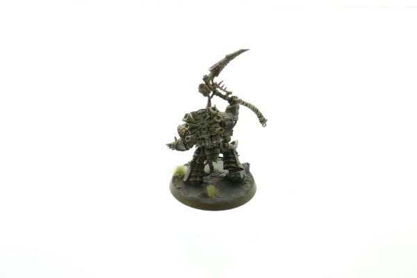 Typhus