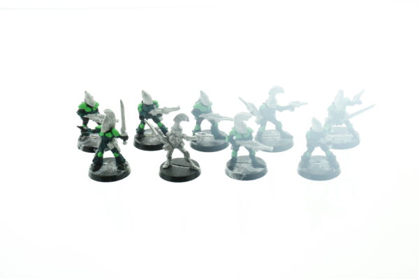 Rogue Trader Eldar Guardians