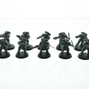 Primaris Reivers