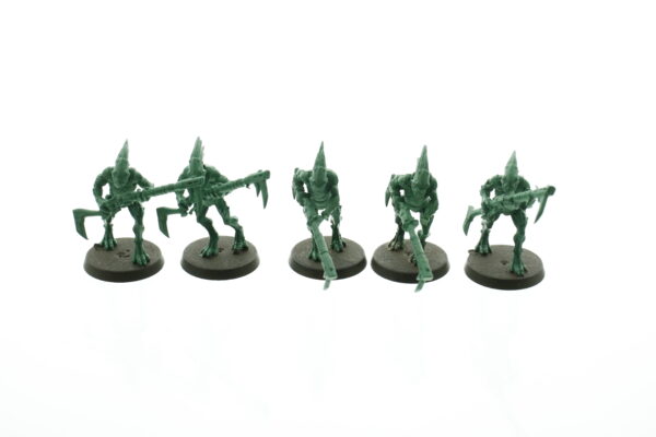 Tau Kroot Warriors