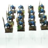 Lizardmen Saurus Warriors