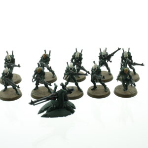 Eldar Guardians