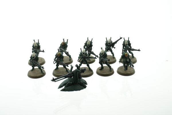 Eldar Guardians