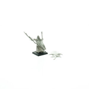 Limited Edition Dark Elf Army Standard Bearer