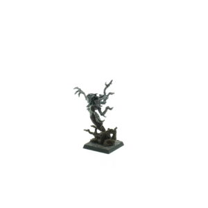 Branchwraith Drycha