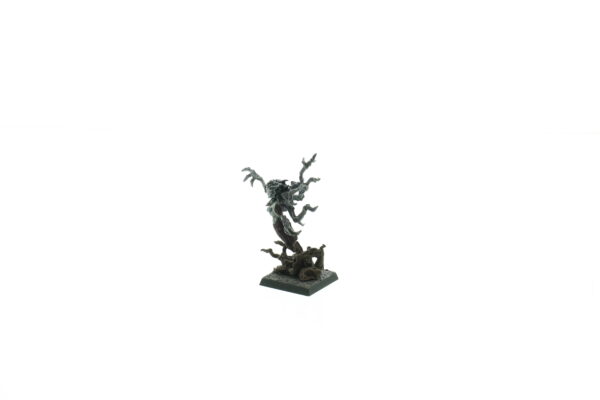 Branchwraith Drycha