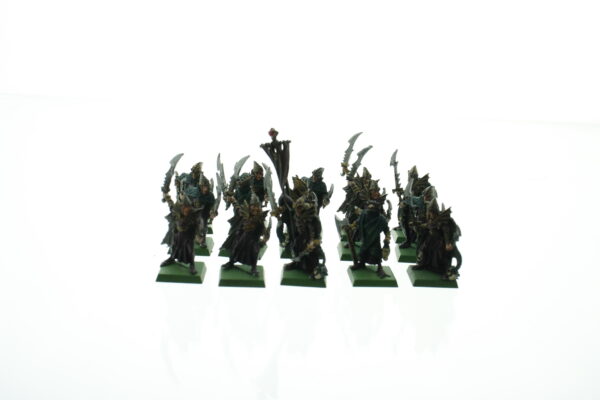 Dark Elf Corsairs