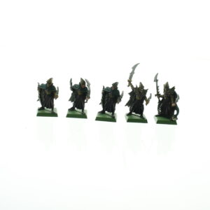 Dark Elf Corsairs