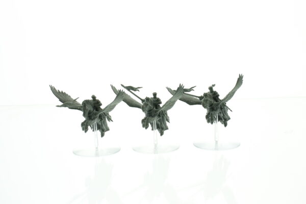 Bretonnia Pegasus Knights