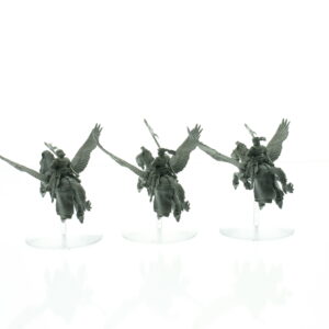 Bretonnia Pegasus Knights