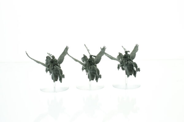 Bretonnia Pegasus Knights