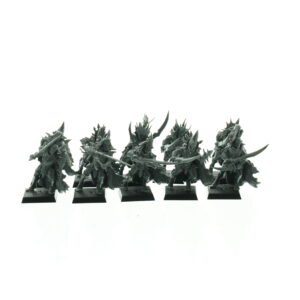 Black Ark Corsairs