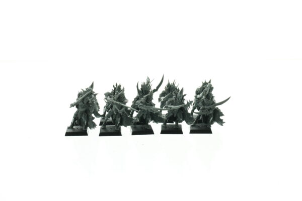 Black Ark Corsairs