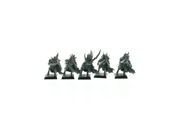 Black Ark Corsairs