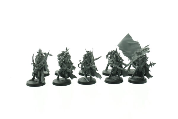 Black Ark Corsairs