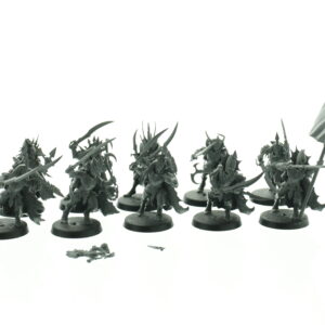 Black Ark Corsairs