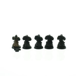 Dark Angels Veteran Marines